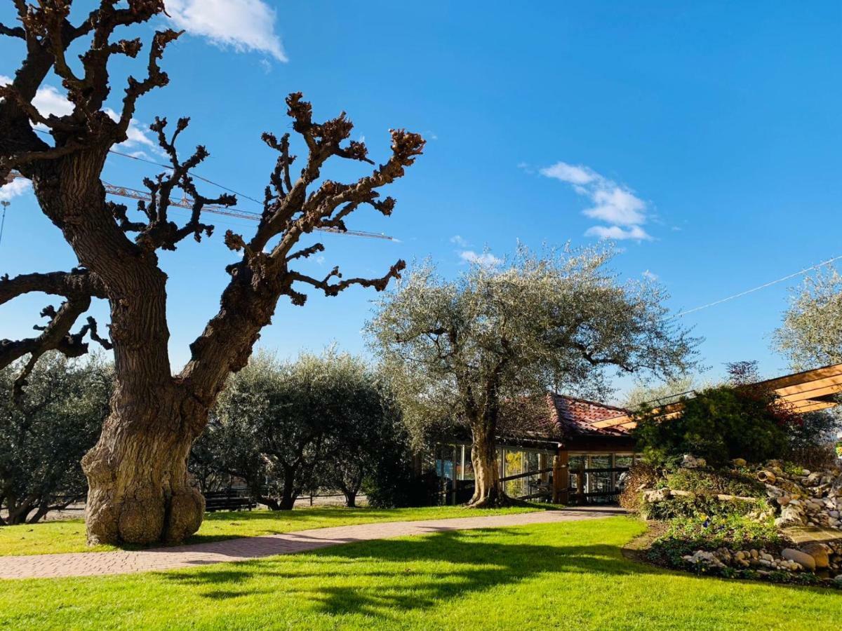 Agriturismo Le Tese Кола Экстерьер фото