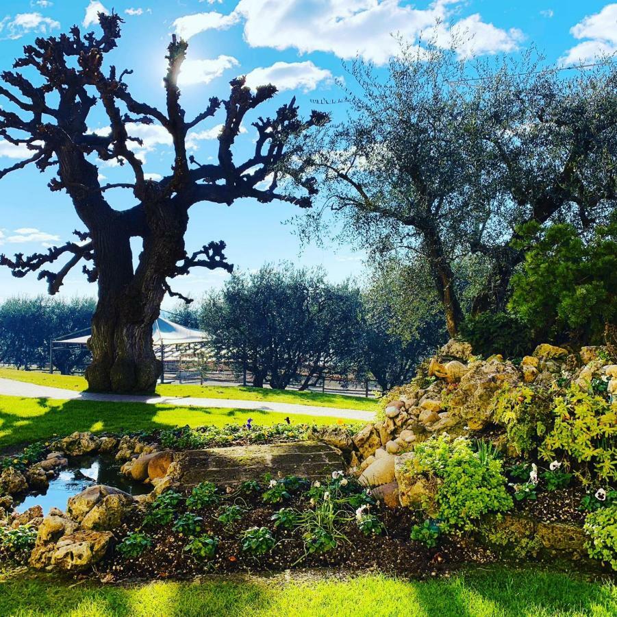 Agriturismo Le Tese Кола Экстерьер фото